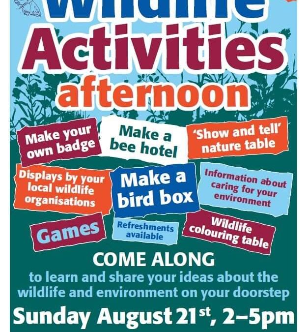 Wildlife Activities Afternoon in Loddon- coming up!