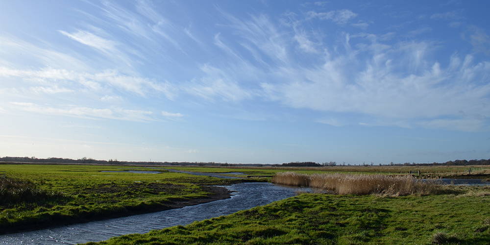 A bold vision for Carlton Marshes