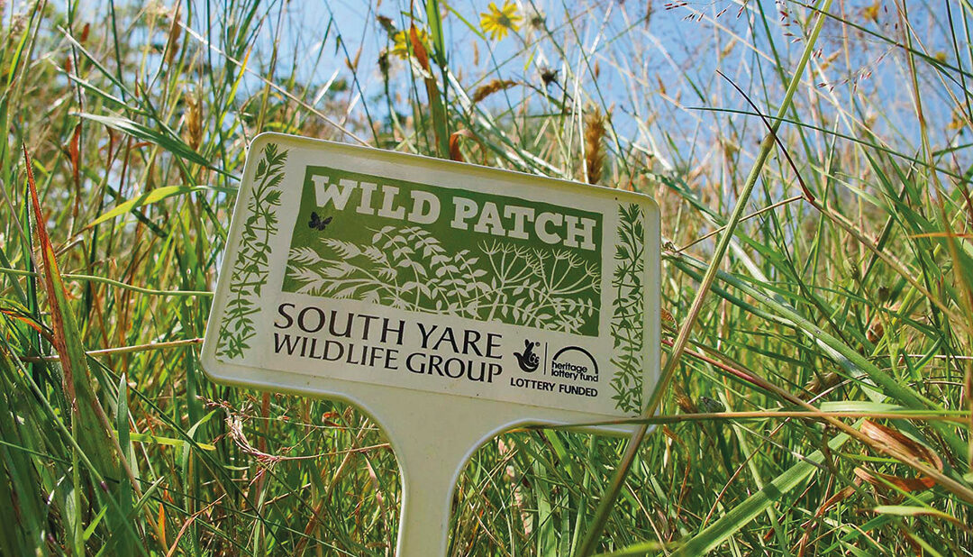 Taking Wild Patch to scale through collaboration with WildEast