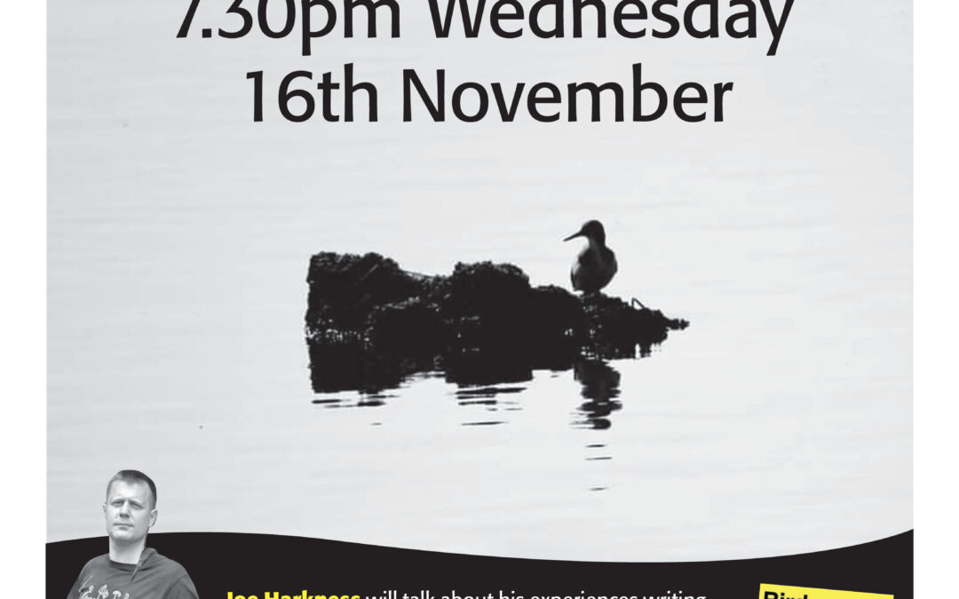 Bird Therapy live- a talk by Joe Harkness Wednesday 16th November