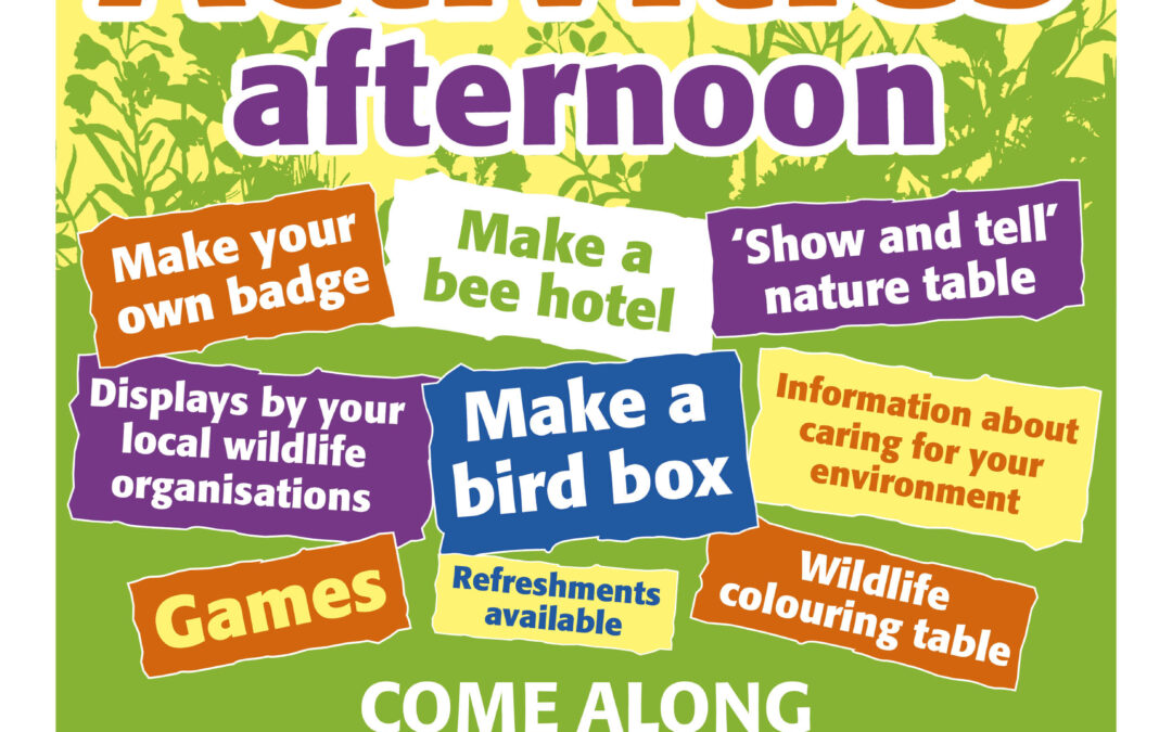 Loddon wildlife activities afternoon July 15th