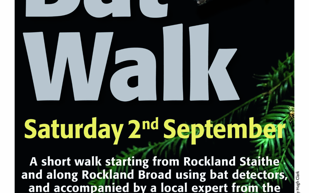 Bat Walk- Saturday 2nd at Rockland Broad