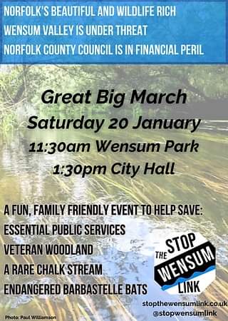 Great Big March- get involved!