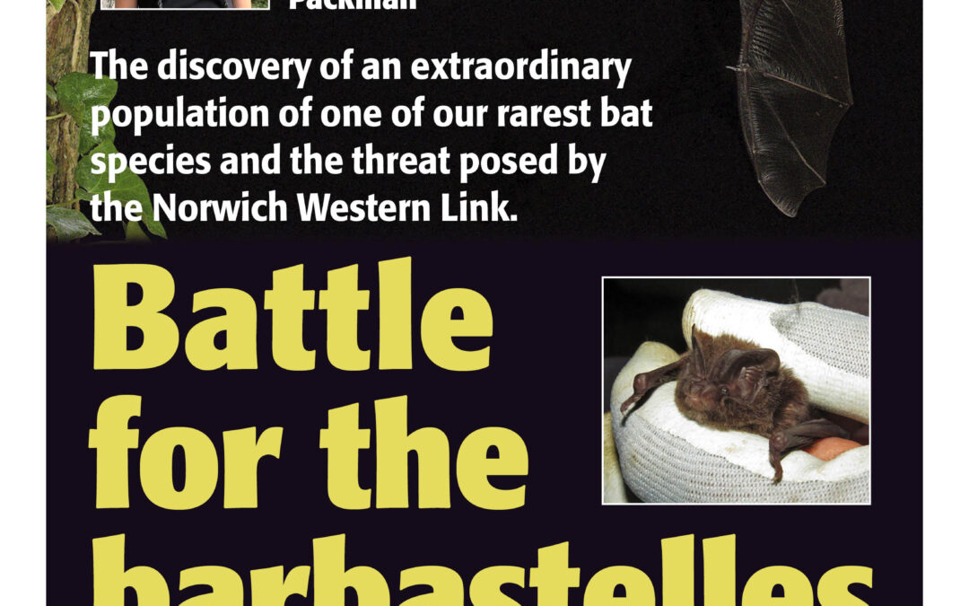 Battle for the Barbastelles! With Dr Charlotte Packman 21st March